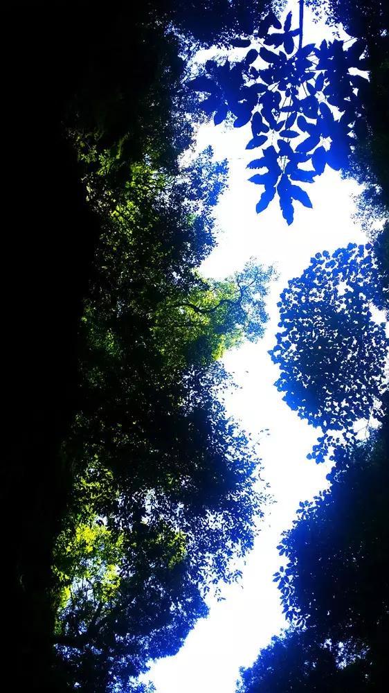 燃烧吧大脑免广告最新版